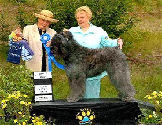 Judge Patti Smith awarded Sassy a Herding Group 1 -- Kenai Kennel Club July 11, 2003 - Kenai, Alaska